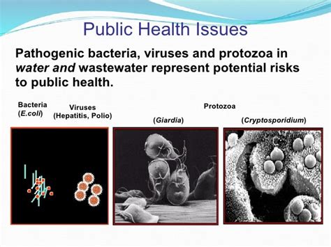 Water-related diseases