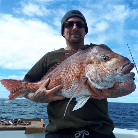 Snapper Fishing – 5 hour Charter - Wildblue Adventures Ltd Reservations