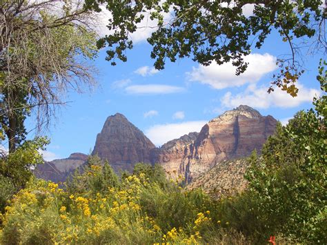 View of Zion Canyon in Zion National Park, Utah image - Free stock ...