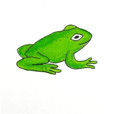 How To Draw A Realistic Frog Step By Step