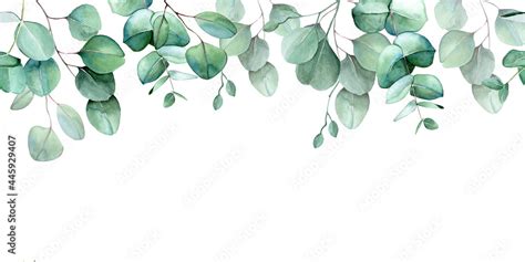 seamless border, frame of eucalyptus leaves and branches. watercolor drawing green leaves of ...