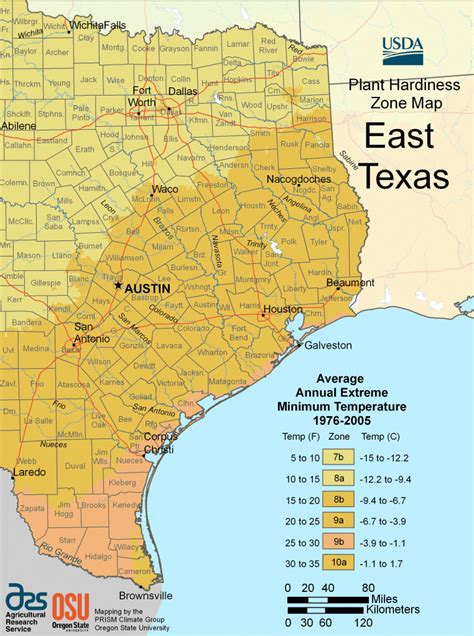 Map Of East Texas With Cities - Printable Maps