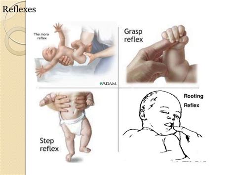 This picture illustrates 4 of the most known and simple infant/newborn ...