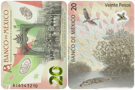 Así es el nuevo billete de 20 pesos (VIDEO + FOTOS) - 24 Horas