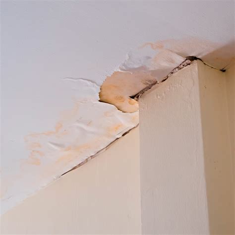 How To Replace Drywall Ceiling Water Damage | Homeminimalisite.com