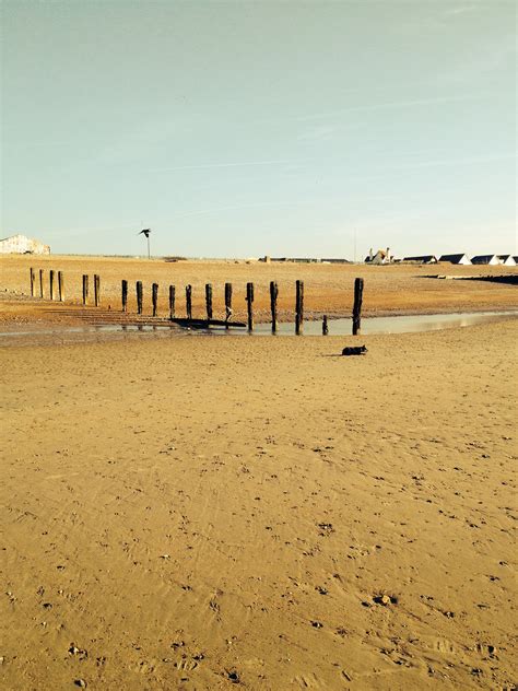 Pevensey Bay - Photo "April 2014" :: British Beaches