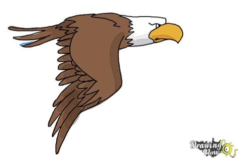 How to Draw a Cartoon Eagle - DrawingNow