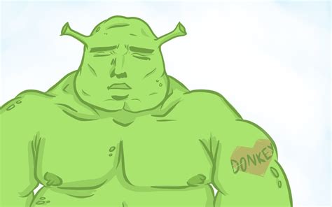 [Image - 510758] | Shrek | Know Your Meme