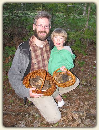 Discover morel mushroom hunting! Tips to connect with this prized wild ...