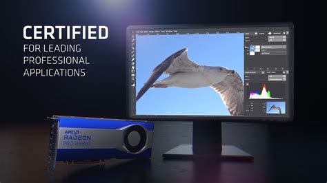 New AMD Radeon PRO GPUs provide the ideal platform for creatives ...