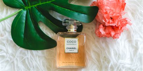 Top 75+ về chanel perfume ingredients list - ntbeamng
