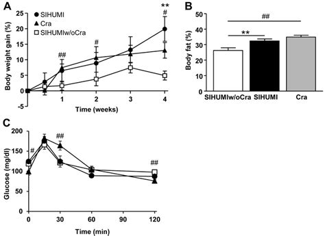 Clostridium ramosum increases symptoms of obesity in mice harboring a... | Download Scientific ...