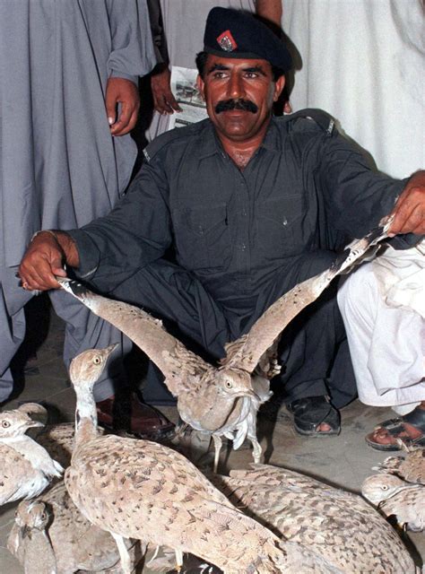 Pakistan: Saudi Prince Accused of Killing up to 2000 Endangered Birds