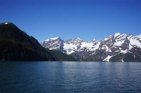 Kenai Fjords National Park Cabins | The Dyrt