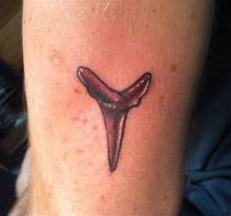 Shark Tattoos And Shark Tooth Tattoos With Images; History And Meanings ...