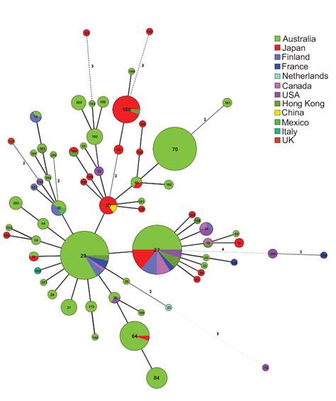 Minimum spanning tree (MST) of multilocus variablenumber tandem-repeat... | Download Scientific ...