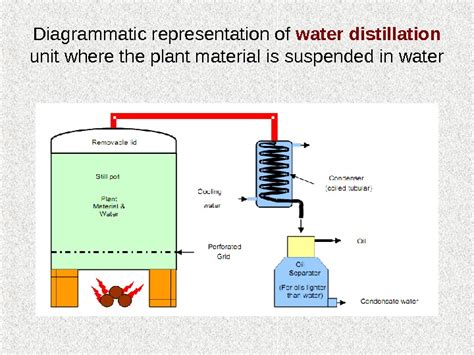 Презентация lecture 1 volatile.oils