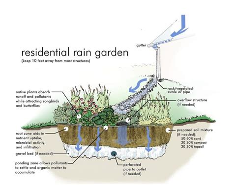 Garden Residential Rain Garden Design With Rain Garden Design Examples And Rain Garden Design ...