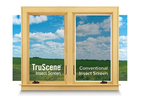 TruScene® Insect Screens | Double hung windows, Insect screening, Andersen windows