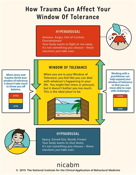 Understanding the “window of tolerance” in trauma recovery | OverSixty