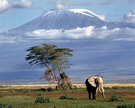 Tanzania safari destination travel deals Climbing Kilimanjaro ...