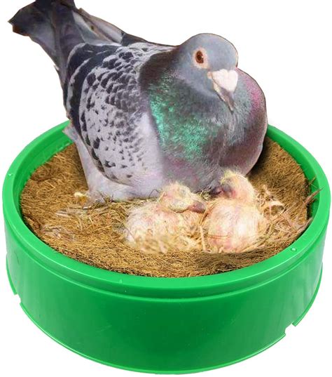 Plastic Bird Nest Pigeon Nesting Bowls for Pigeons Doves Quails Small Birds Pet LMB-17 - Long Mu ...