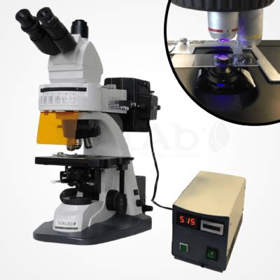 Epi-Fluorescence Microscope - VIALAB