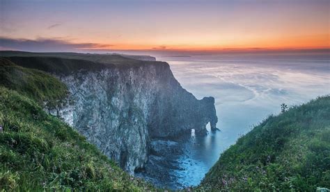 RSPB Bempton Cliffs - East Yorkshire