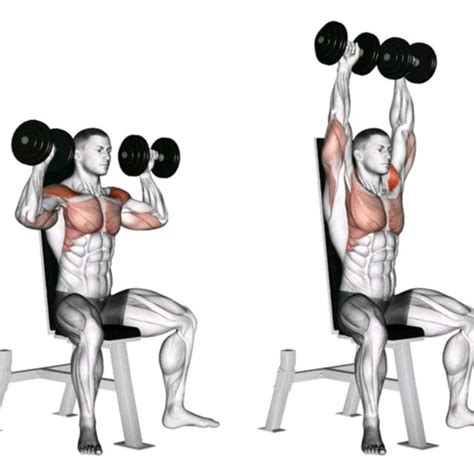 Seated Dumbbell Presses by Richard Terry Jr - Exercise How-to - Skimble