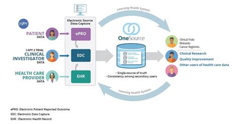 Clinical Trial Software: EDC, CTMS, ePRO, RTSM | AltexSoft