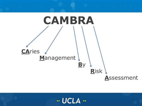 Cambra - A Clinical Review