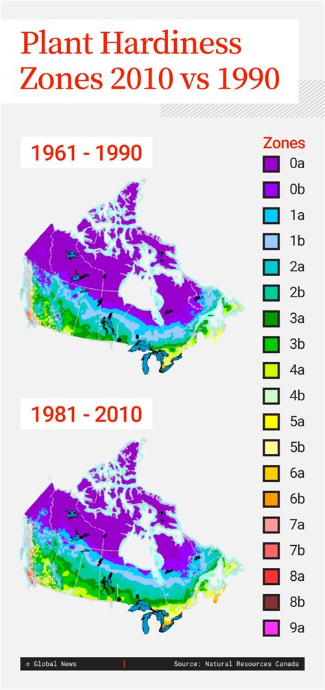 Canada’s plant hardiness zones map ready to bloom for 1st time in 10 ...