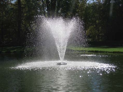 homemade pond fountain | Smith Creek Fish Farm | Diy pond fountain, Pond fountains, Diy pond