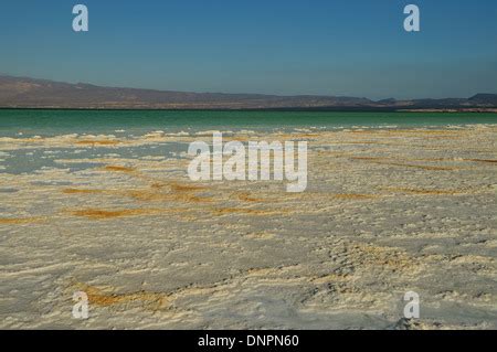 Africa, Djibouti, Lake Assal. Salt crystals emerging from the water Stock Photo - Alamy