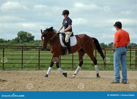 Horse Riding