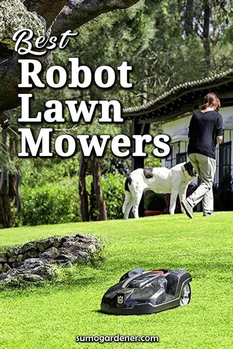 8 Best Robot Lawn Mowers for 2024 - Sumo Gardener