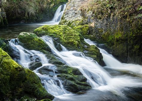 Discover Fraser River Trail in Winter Park, Colorado | Winter Park Escapes