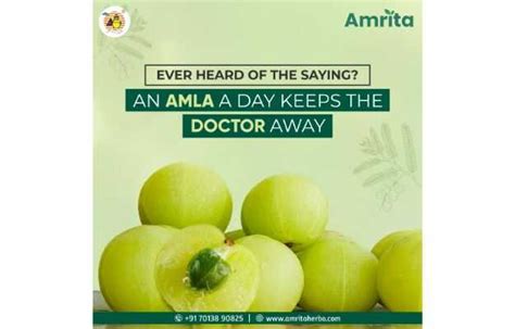 Amrita Nisa Amalaki Tablet: Uses, Price, Dosage, Side Effects ...