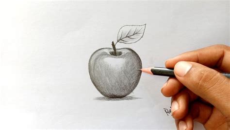 Apple drawing with pencil. Realistic apple drawing and shading. in 2020 | Pencil drawings ...