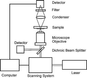 Second Harmonic Generation Microscopy (SHG) | SpringerLink