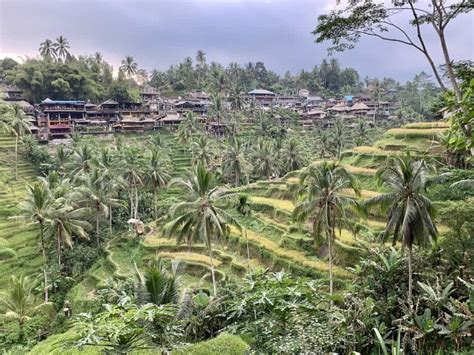 A Complete Ubud Itinerary | 3 Days in Ubud | Attractions, Tips, & Map