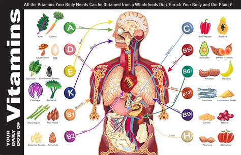 Daily Dose of Vitamins—Infographic – Joren Eulalee