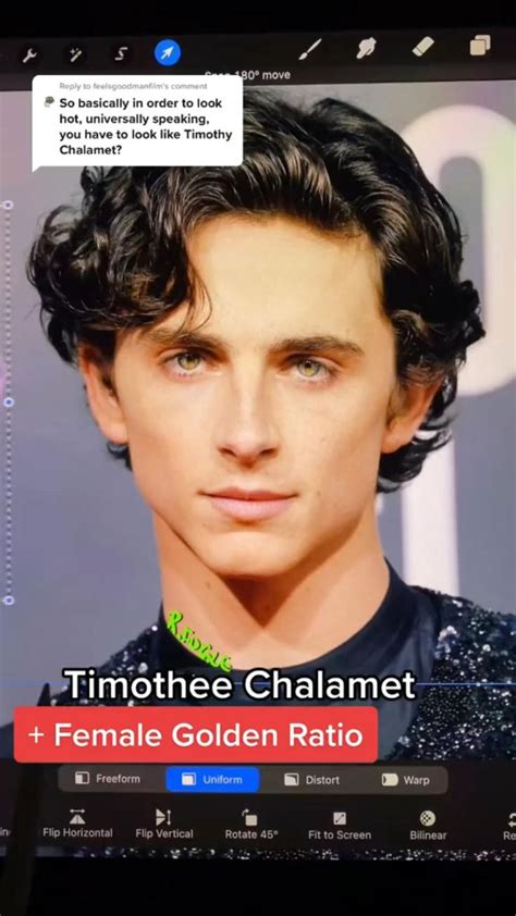 Timothee Chalamet + Golden face ratio | Funny videos clean, Universally ...