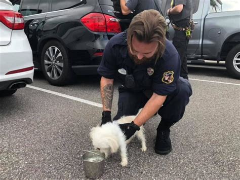 Poor puppy is found left in a locked car in Disney World parking lot while the owner is at the park