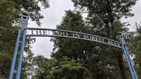 The Zoo in Forest Park Sharpens Its Focus - BusinessWest