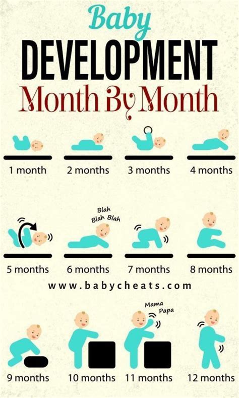 Baby Development By Month Chart - Rizky Pratama