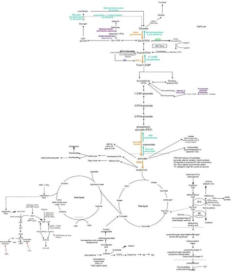 Biomedical science, Biochemistry, Science biology