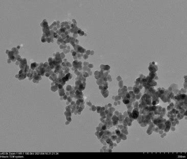 Fe3O4 Nanoparticles