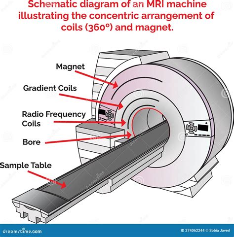 Schematic Diagram of an MRI Machine Illustrating the Concentric ...