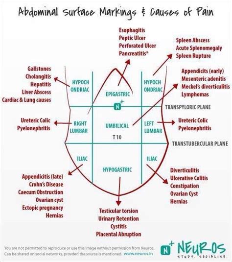 Abdominal Quadrants Pain